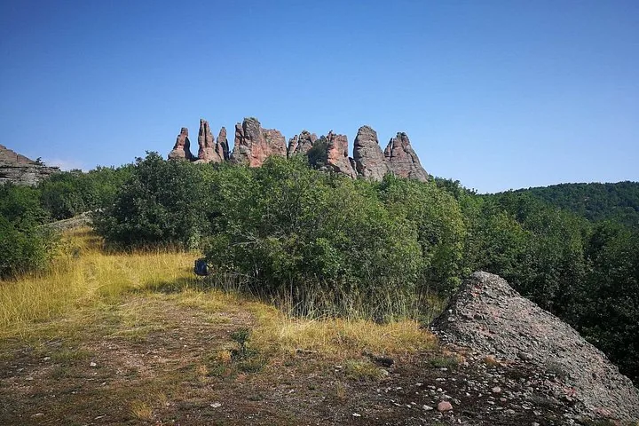 Fernblick auf die Belogradtschik-Felsen, die über grünem Wald aufragen